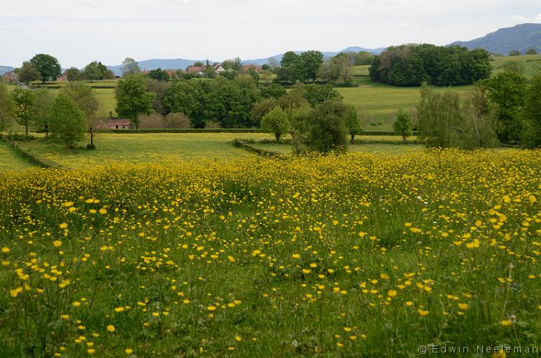 ENE-20140510-0341.jpg - Vareilles, Saône-et-Loire